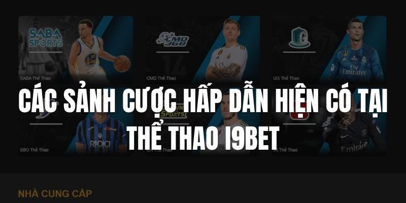 Top sảnh cược ấn tượng